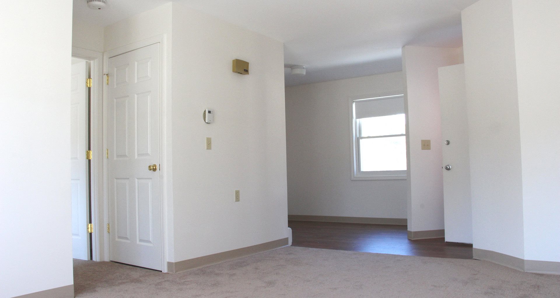 Gallery Photo 3